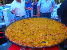 XIX Concentracion - 2012